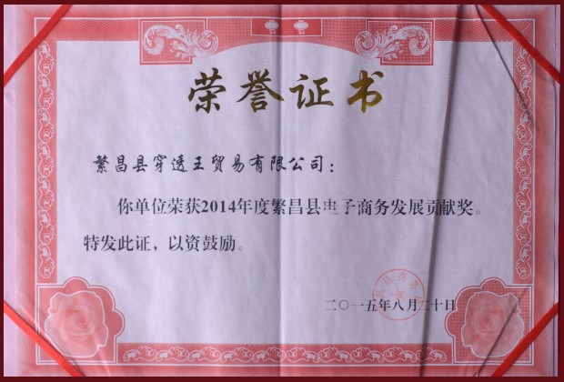 2014-繁昌县-电子商务发展贡献奖.jpg
