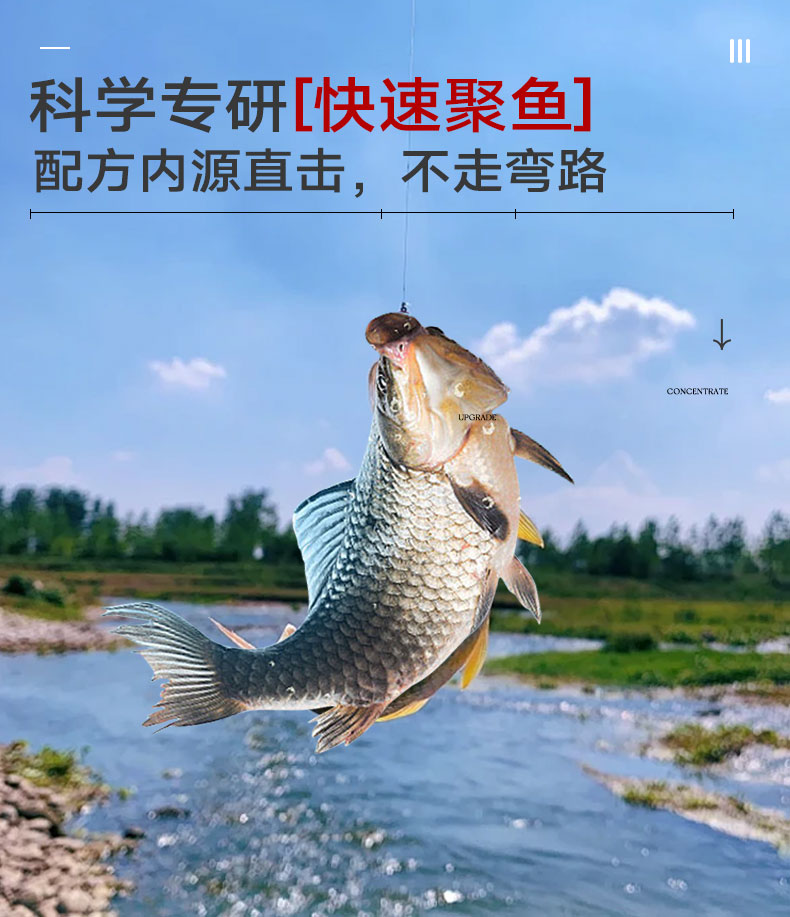 诱鱼宝_08.jpg
