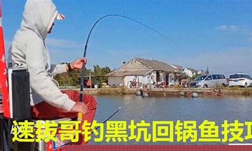 鲤鱼黑坑偷驴技巧详解