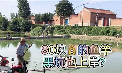 黑坑偷驴没口怎么办啊(黑坑偷驴鱼没口怎么解决)